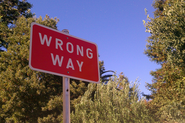 Wrong Way Photo by Elaine with Grey Cats