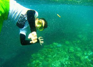 Sardine Run in Moalboal, Cebu.